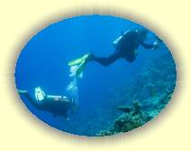 IMG_2007_05_29 14_31_53 * 3072 x 2304 * (510KB)